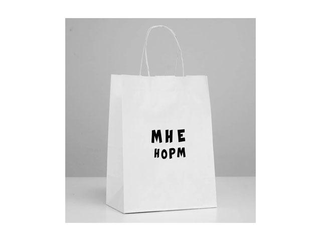 *пакет подарочный "мне норм", 24 х 14 х 30 см 4773973