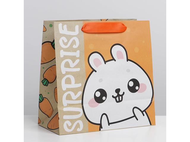 *пакет крафтовый квадратный "suprise", 22 х 22 х 11 см. 7183919